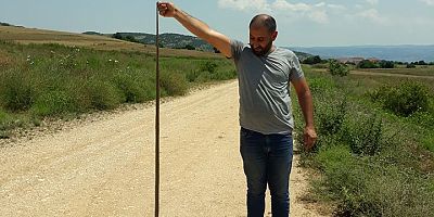 Bahçesinde 2 metrelik yılan yakaladı