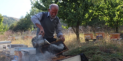 BAL MEVSİMİ İYİ ARILAR İYİ DEĞİL