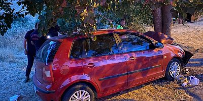 Balıkesir'de ağaca çarpan otomobildeki 2 kişi öldü, 6 kişi yaralandı