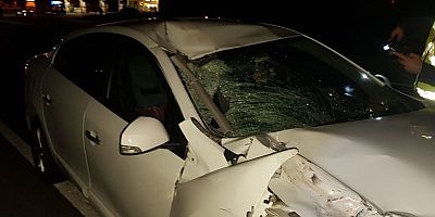 Balıkesir'de otomobilin çarptığı dede ve torunu yaşamını yitirdi