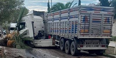 Balıkesir Erdek'te kontrolden çıkarak ağaca çarpan tırın sürücüsü yaralandı