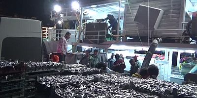 Bartın'da balıkçılar limana 100 ton hamsiyle döndü