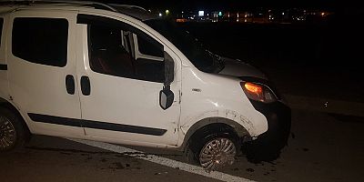 başı boş at kazaya neden oldu