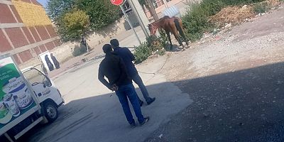 BAŞIBOŞ ATI DOYURDU