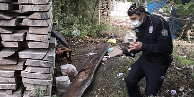 Başına kereste düşen kişi yaralandı
