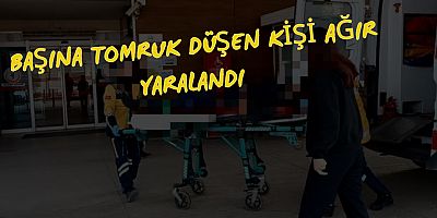 Başına tomruk düşen kişi ağır yaralandı 