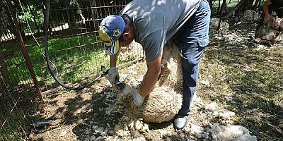 Bayramda sokağa çıkma yasağı var mı?