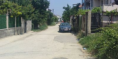 Belçika'dan ailesiyle tatile gelen çocuk, sahipsiz köpeğin saldırması sonucu yaralandı