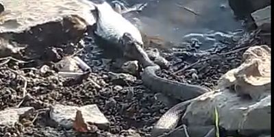 BELGESELLERE KONU OLACAK GÖRÜNTÜ