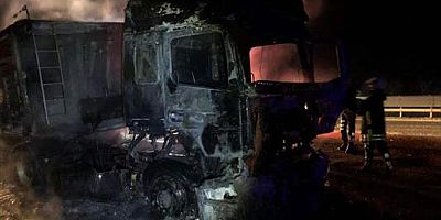Bilecik-Eskişehir yolundaki tır yangını ulaşımı aksattı