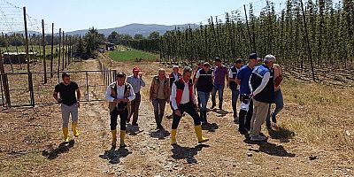 Bilecik-Pazaryeri'nde dolu ve sağanaktan etkilenen arazilerd hasar tespit çalışmaları sürüyor