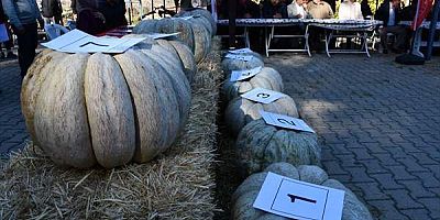 Bilecik'te 