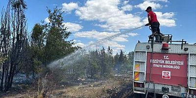 Bilecik’te arazi yangını söndürüldü