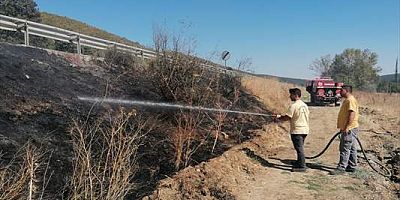 Bilecik'te kara yolu kenarındaki otluk alanda çıkan yangın söndürüldü