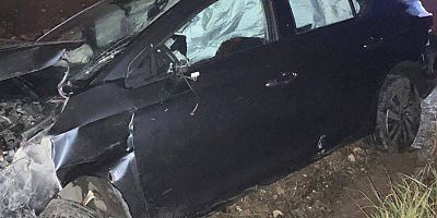 Bilecik'te kontrolden çıkan otomobil şarampole uçtu, 2 yaralı