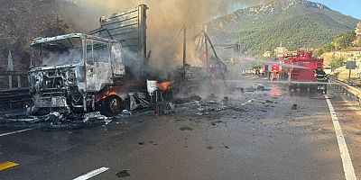 Bilecik'te seyir halindeki tır alev aldı