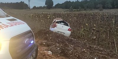 Bilecik'te tarlaya devrilen otomobildeki 3 kişi yaralandı