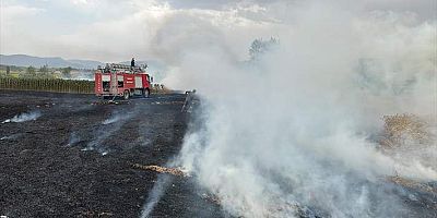 Bilecik'te yıldırım düşmesi sonucu çıkan yangınlar söndürüldü