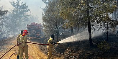 Bilecik yangını sürüyor