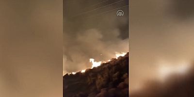 Bodrum’da otluk ve çalılık alanda  yangın çıktı