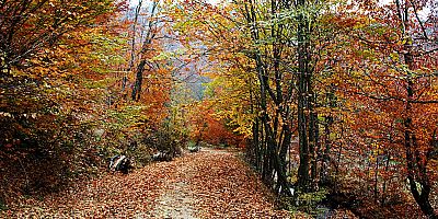 BOĞAZOVA’DA NELER OLUYOR? MERA ALANLARI KAÇAK EVLERLE DOLUYOR