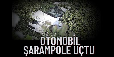 Bu araçtan burnu bile kanamadan çıktı