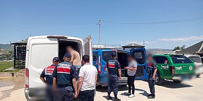 Bursa'da 3 bin litre sahte zeytinyağı ele geçirildi