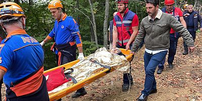 Bursa'da ağaçtan düşünce ormanda mahsur kalan kişi kurtarıldı