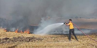 Bursa'da buğday tarlasında çıkan yangın söndürüldü