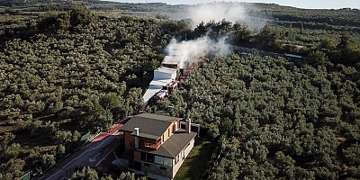 Bursa'da çiftlikte çıkan yangında çok sayıda tavuk ve koyun telef oldu