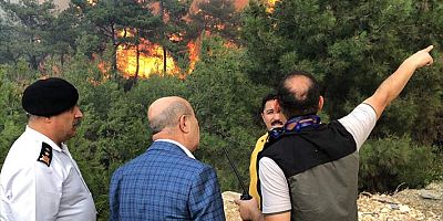 Bursa'da çıkan orman yangını kontrol altına alındı