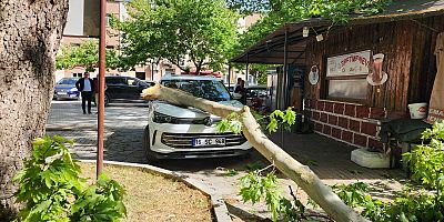 Bursa’da Çınar ağacının kopan dalı lüks araçta hasara yol açtı