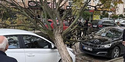 Bursa’da devrilen ağaç korku dolu anlar yaşattı