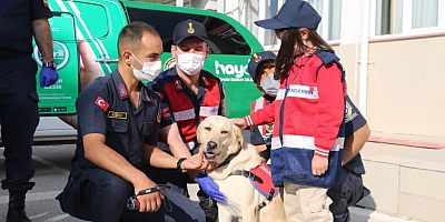 Bursa’da Jandarma ile Hayvanları Koruma Günü Etkinliği