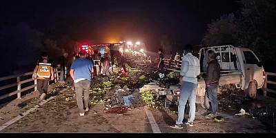 Bursa'da kamyonla kamyonet çarpıştı, 1 kişi öldü, 5 kişi yaralandı