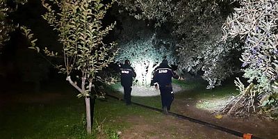 Bursa'da kaybolan kardeşler için arama çalışması başlatıldı