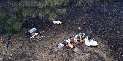 Bursa'da piknikçiler ağaçlık alanı yaktı