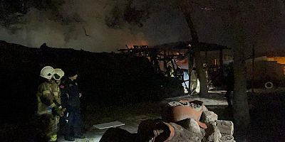 Bursa'da tarihi Kestel Kalesi alevlere teslim oldu