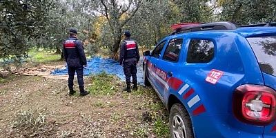 Bursa'da tarlalardan zeytin ve üzüm çalan 3 şüpheli yakalandı