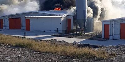 Bursa'da tavuk tesisi alev alev yandı