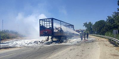 Bursa’da Tır alevlere teslim oldu