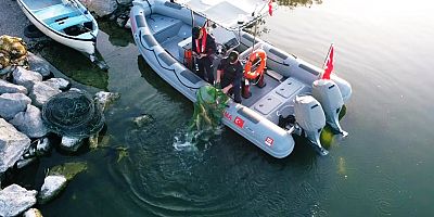 Bursa’da Uluabat Gölü’nde Usulsüz Su Ürünleri Avcılığına Geçit Yok