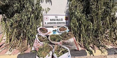 BURSA’DA UYUŞTURUCU OPERASYONU: 22 KİLO 675 GRAM ESRAR ELE GEÇİRİLDİ