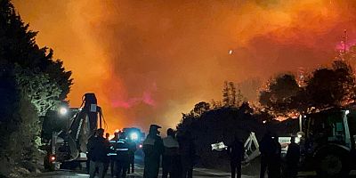 Bursa’daki orman yangını kontrol altına alındı