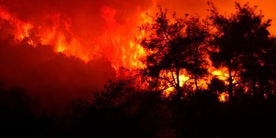 Bursa’daki orman yangınının bilançosu havadan görüntülendi
