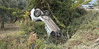 Bursa'nın İznik ilçesinde Sollama yaparken zeytinliğe uçtu