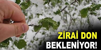 Bursa Valiliği’nden zirai don uyarısı