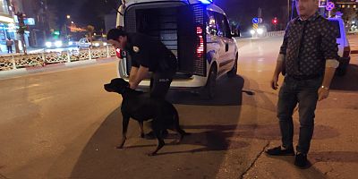 Çalınan köpeği bulup sahibine teslim etti