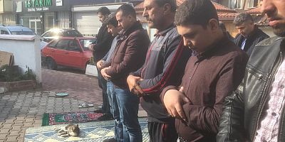 CAMİİ CEMAATİNİN KEDİ SEVGİSİ