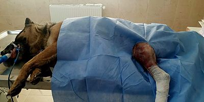 CAN DOSTLARINA ŞİFA DAĞITILIYOR